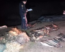 На Полтавщине разоблачили дерзких браконьеров рыбаков: ущерб государству – более 3 миллионов гривен