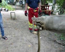 нашествие змей в Днепропетровской области, фото