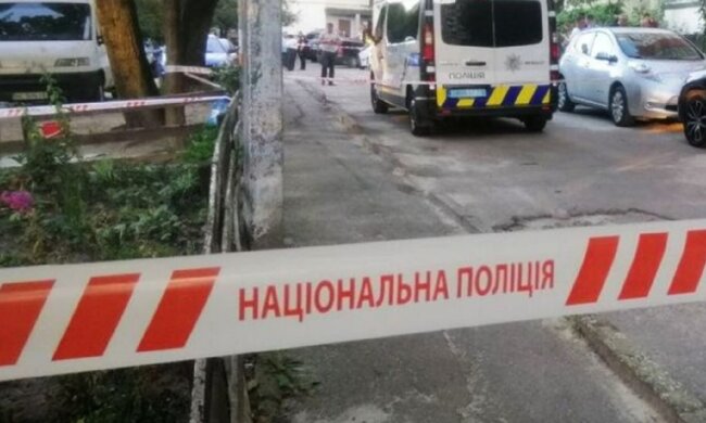 убийство Ирины Фарион