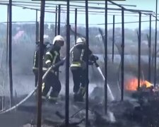 Масштабна пожежа у Кропивницькому, вогонь підступив до житлових будинків: кадри з місця