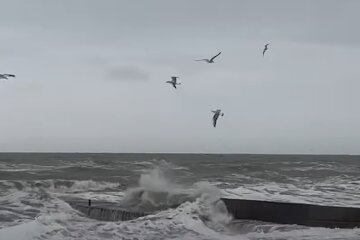 шторм, погода