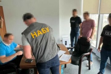 задержания Анатолия Гунько