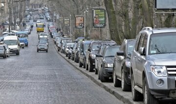 У Києві водій вирішив припаркуватися прямо посеред клумби з новим саджанцем: "плювати на все і всіх"