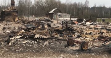 "Как после бомбардировок": уничтоженное пожаром село на Житомирщине показали в сети, видео