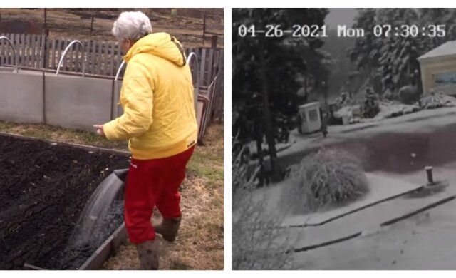Заморозки и дожди с мокрым снегом помучают украинцев перед Пасхой: когда ждать непогоды