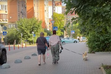 украинцы, лето, гороскоп, знаки зодиака