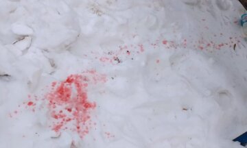 У Києві б'ють на сполох через рожеві плями на снігу: "результати досліджень показали..."