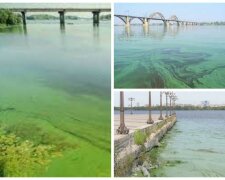 Днепр на грани экологической катастрофы, в реке нашли опасные вещества: экологи бьют тревогу