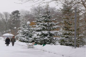 Прогноз погоди на тиждень з 22 по 28 грудня у Києві