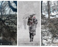 Повислі гілки, купи і бруд: як виглядає Одеса після снігової бурі, кадри