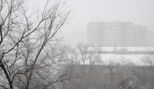  ������ ������ ���������� ����������� ���������� ������� �������� 