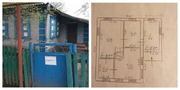 Цена всего 45 тысяч гривен: в спокойной области Украины продают дом с огородом и садом