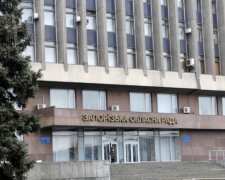 «Губернатор в законе»-оппозиция требует расследовать захват власти в Запорожском облсовете