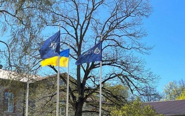 Нардеп Пушкаренко: приєднання України посилить ефективність Кіберцентру НАТО