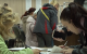 Повышение тарифов на коммунальные услуги в Запорожье