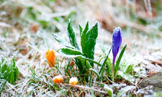 b484d7c4eb0341ad52dce58148af367f