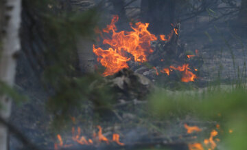 Wild Fire In Southern Utah Forces Evacuations