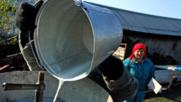 "Будем выливать молоко в канализацию": украинские фермеры оказались на грани из-за карантина