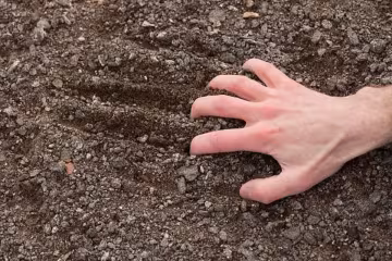 грунт, земля