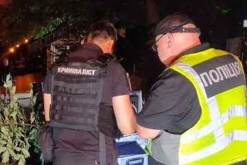 падение дерева в центре Киева