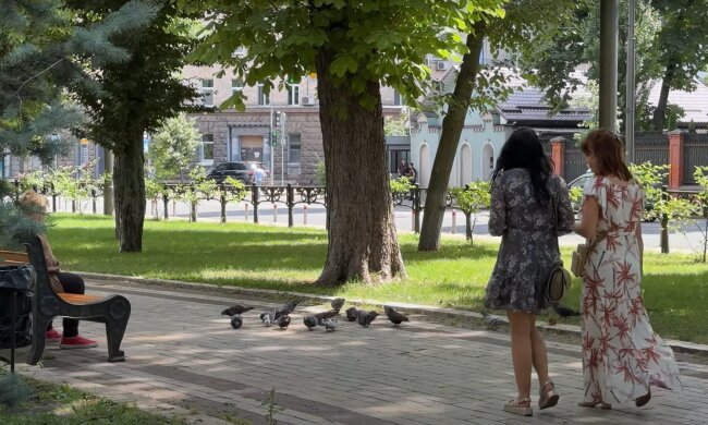 українці, літо, гороскоп, знаки зодіаку