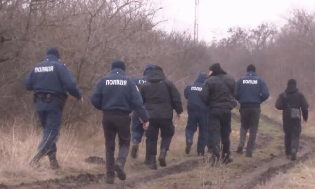 полиция, поиск