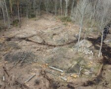 Держекоінспекція