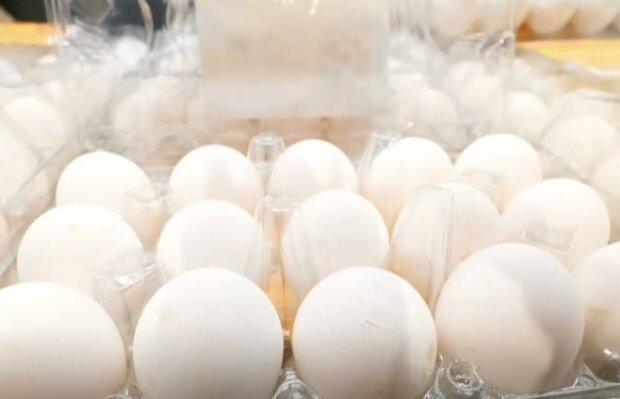 ����: politeka.net