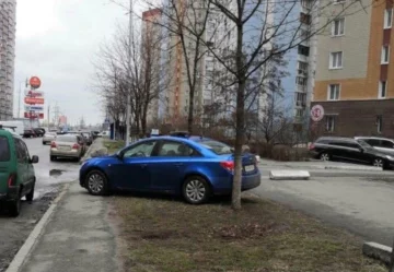 Кияни покарали нахабного водія за паркування, фото: "закидали камінням і..."