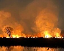 Держекоінспекція з'ясовує всі обставини масштабної пожежі поблизу озера Тягле