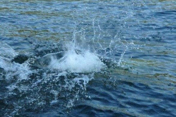 НП на озері в Києві: день народження став останнім, подробиці і відео з місця трагедії