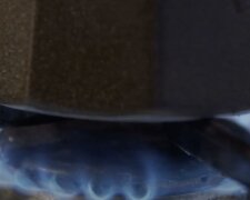 Отключение газа в Полтавской области