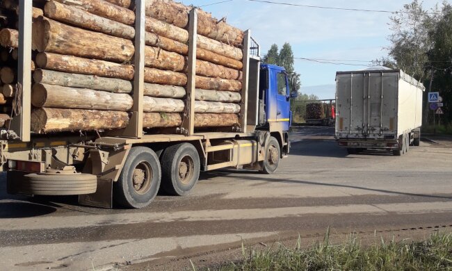 ”Чорні лісоруби” пустилися в усі тяжкі на Харківщині: президента не послухалися