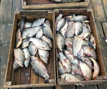 Специалисты Госэкоинспекции задержали нарушителя, наловившего рыбы на десятки тысяч гривен