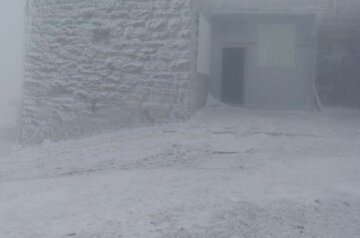 Снег припорошил украинскую землю в первый день лета: невероятные кадры