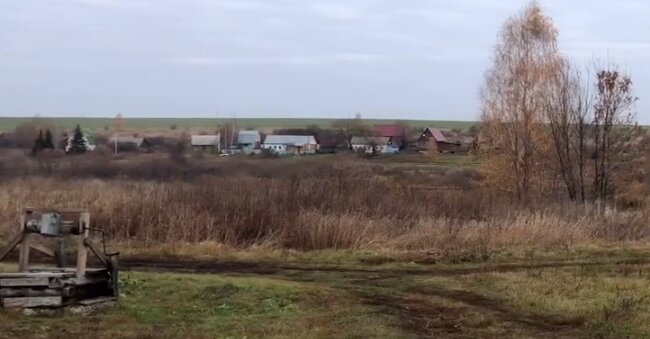 Полчища мерзенних істот атакували Харківську область: з'явилася термінова заява