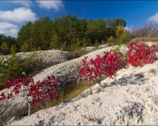 Чудо природы: белые скалы назвали самым красивым местом Украины (фото)