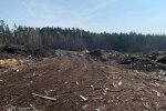 Ущерб окружающей среде на 1,6 миллиона: в Житомирской области лесной филиал засорил землю и должен заплатить