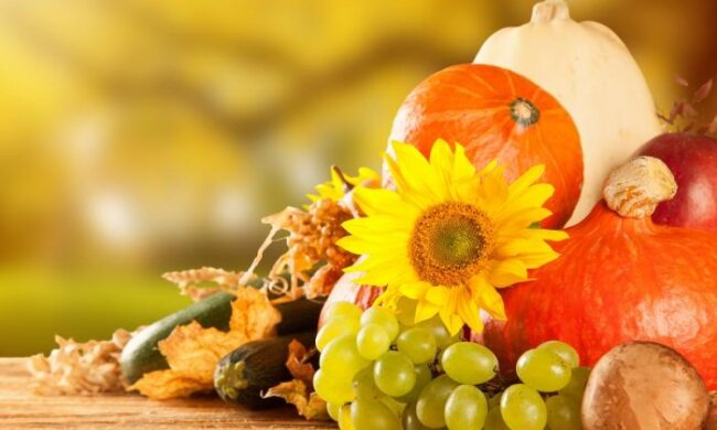 15193472423830b60abd067a872e9b1543a5a88100c6d