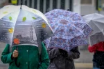 Дожди прогонят бабье лето: выяснилось, сколько еще дней украинцам наслаждаться теплом