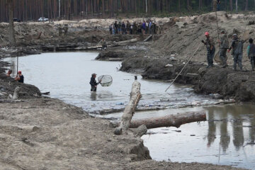 янтарь, добыча янтаря