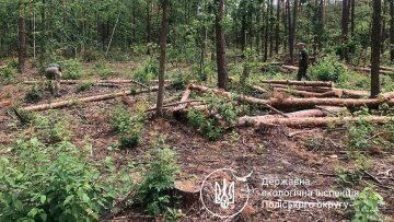 Держекоінспекція