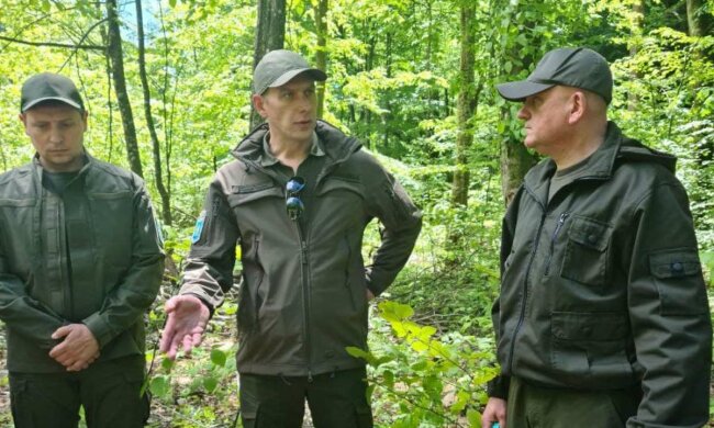 Андрей Малеваный раскрыл, как нужно бороться с вырубкой леса: «Мало утвердить высокие штрафы»