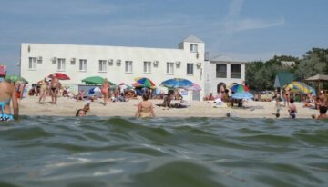 "Грозный вид": опасных морских обитателей заметили на одном из пляжей Одессы, видео