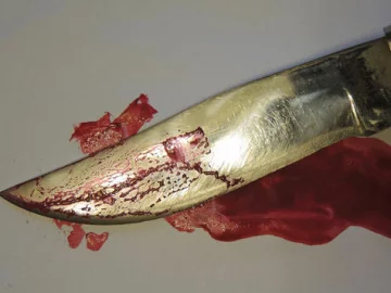 DETAIL_PICTURE__38712945