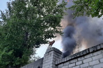 Масштабна пожежа охопила завод у Харкові: кадри і перші дані з місця НП