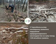 Ущерб более чем на 1,5 млн гривен: Госэкоинспекция разоблачила масштабные нарушения в Чернобыльском заповеднике