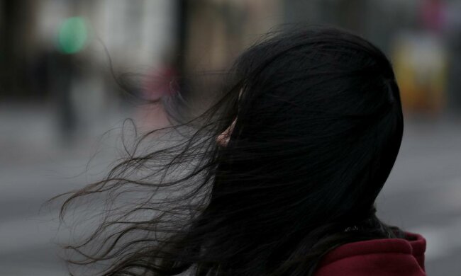 плохая погода, ветер, сырость