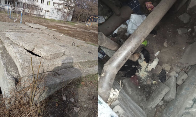 Цуценята стали заручниками бетонних плит у Дніпрі: кинуті сили на порятунок, фото