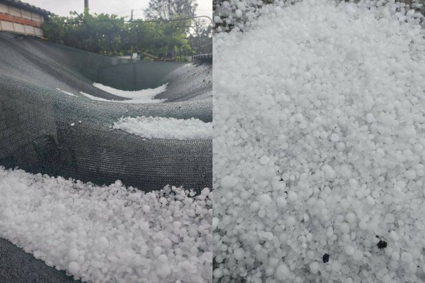  ������ ������ ������� ������� ��������� ����� ����� ����� 